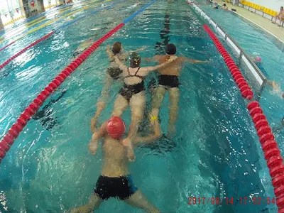 Szkółka Pływacka Jaguar